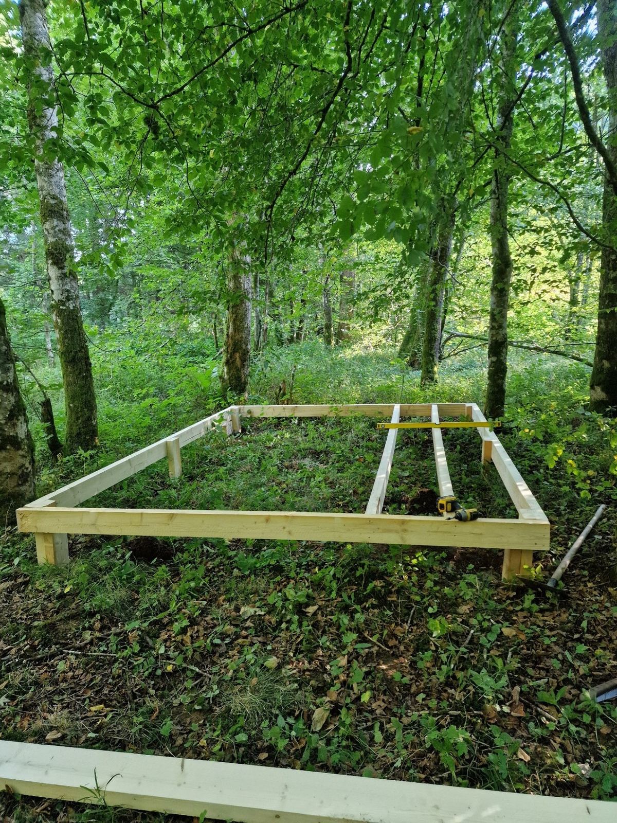 Platformconstructie in het bos