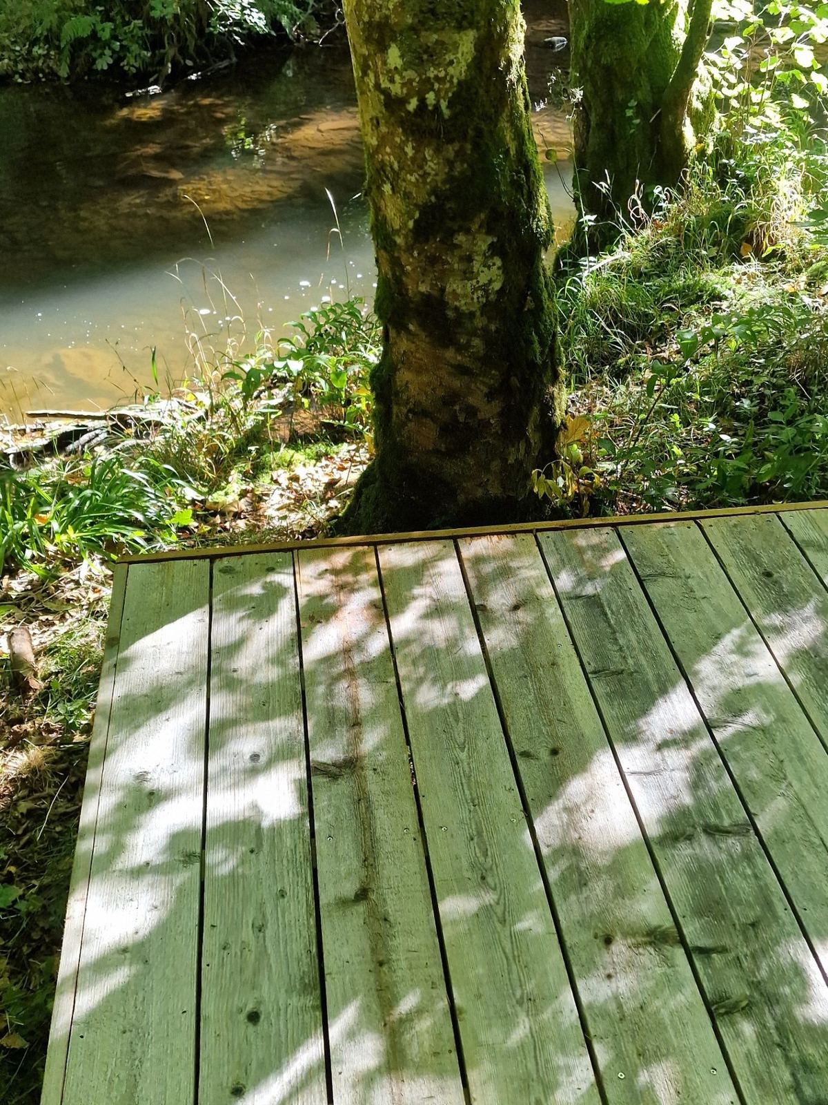 Platform aan het water