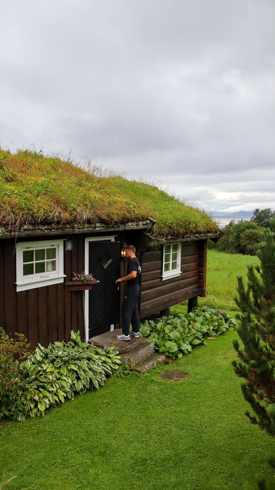 Houten hut met grasdak, Noorwegen